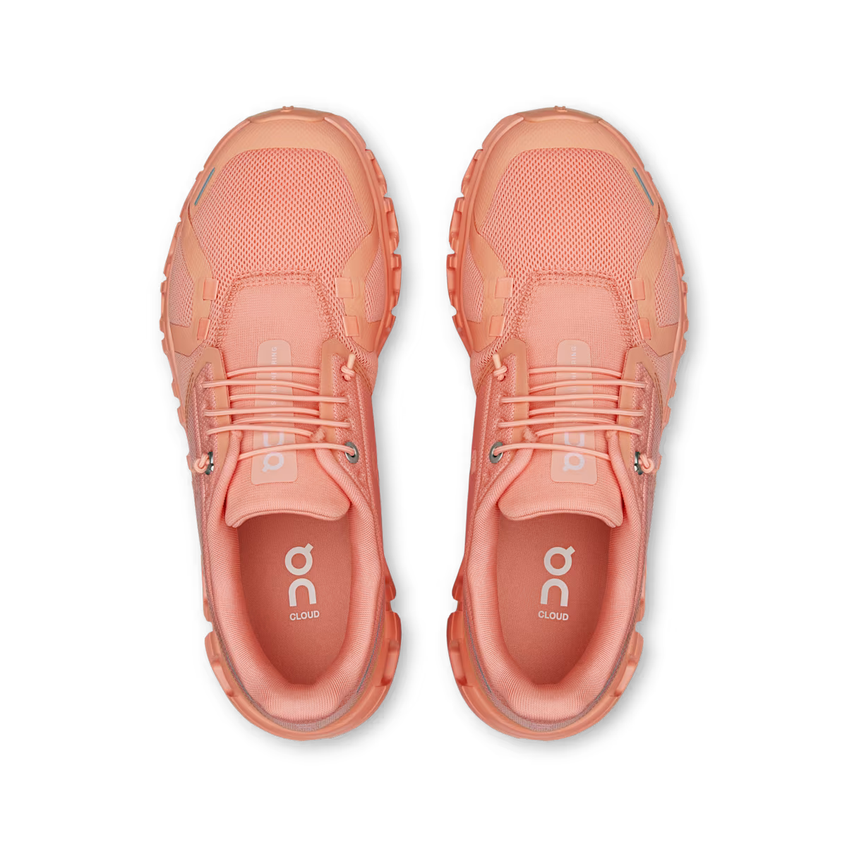 On Running Cloud 6 'Sunstone'