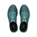 On Running Cloudzone 'Mistletoe Agave'