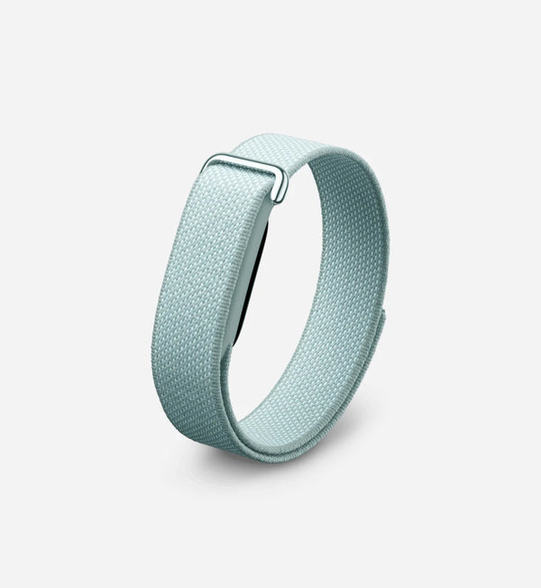 Google Fitbit Air 'Fog'