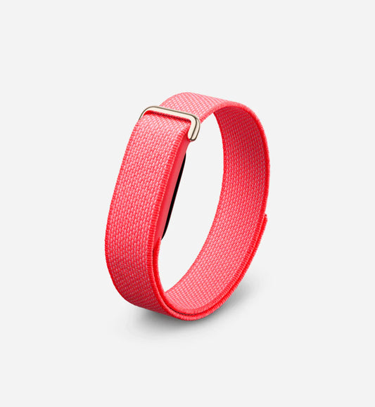 Google Fitbit Air 'Berry'