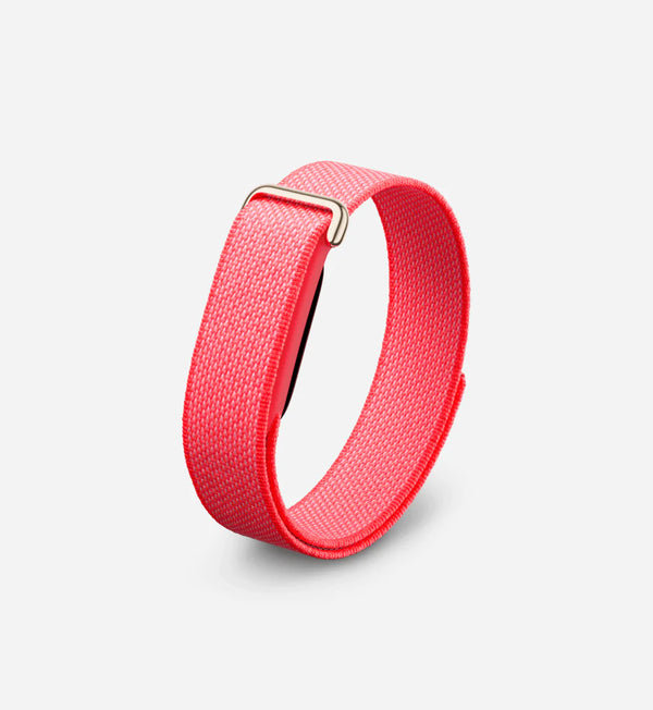 Google Fitbit Air 'Berry'