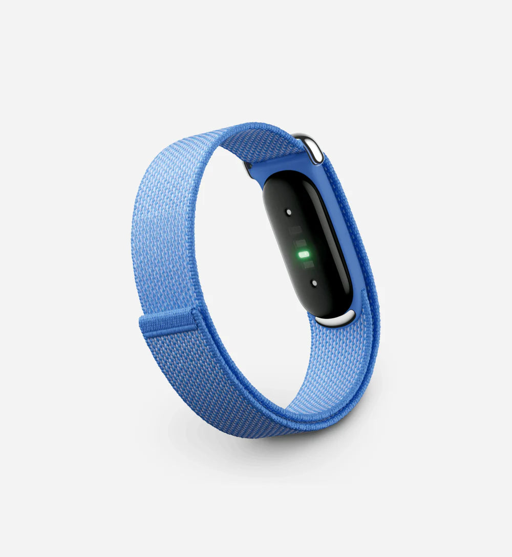 Google Fitbit Air 'Lavender'