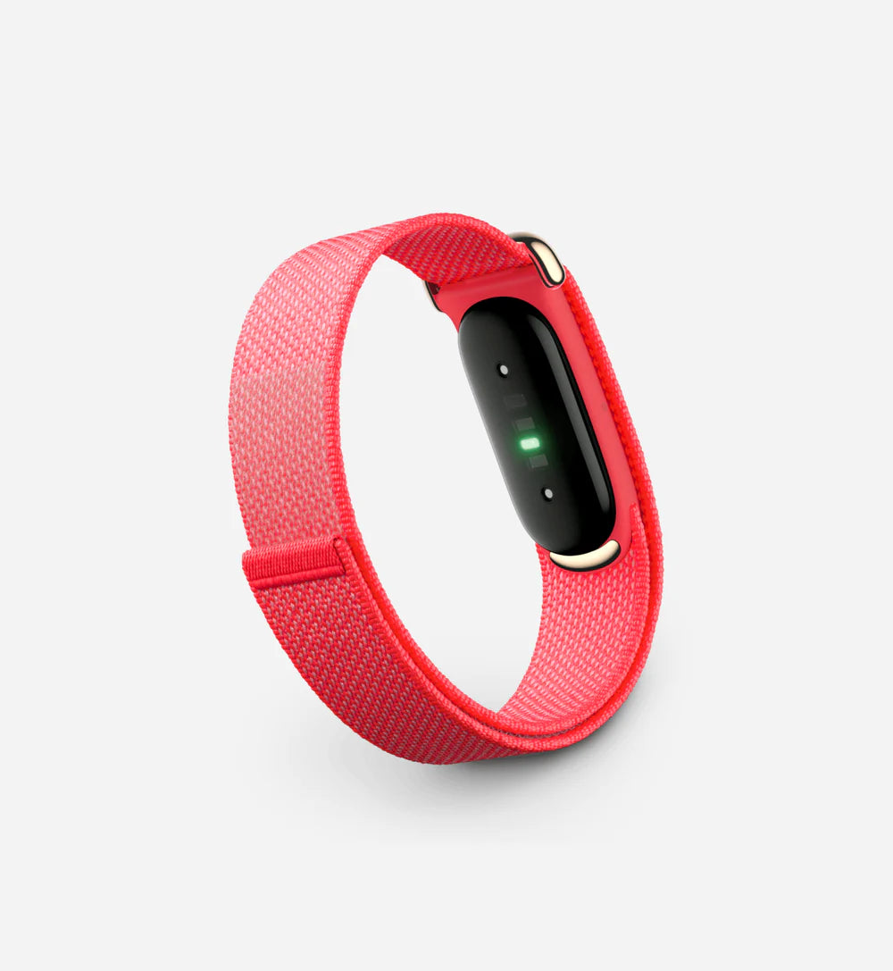 Google Fitbit Air 'Berry'