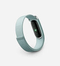 Google Fitbit Air 'Fog'