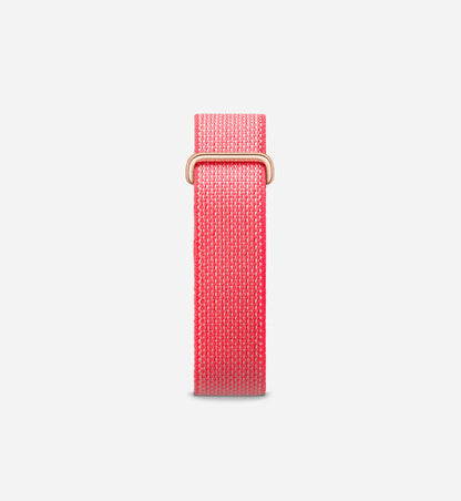 Google Fitbit Air 'Berry'