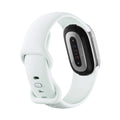 Google Fitbit Edge Classic Satin Silver Aluminum Case / Fog Active Band