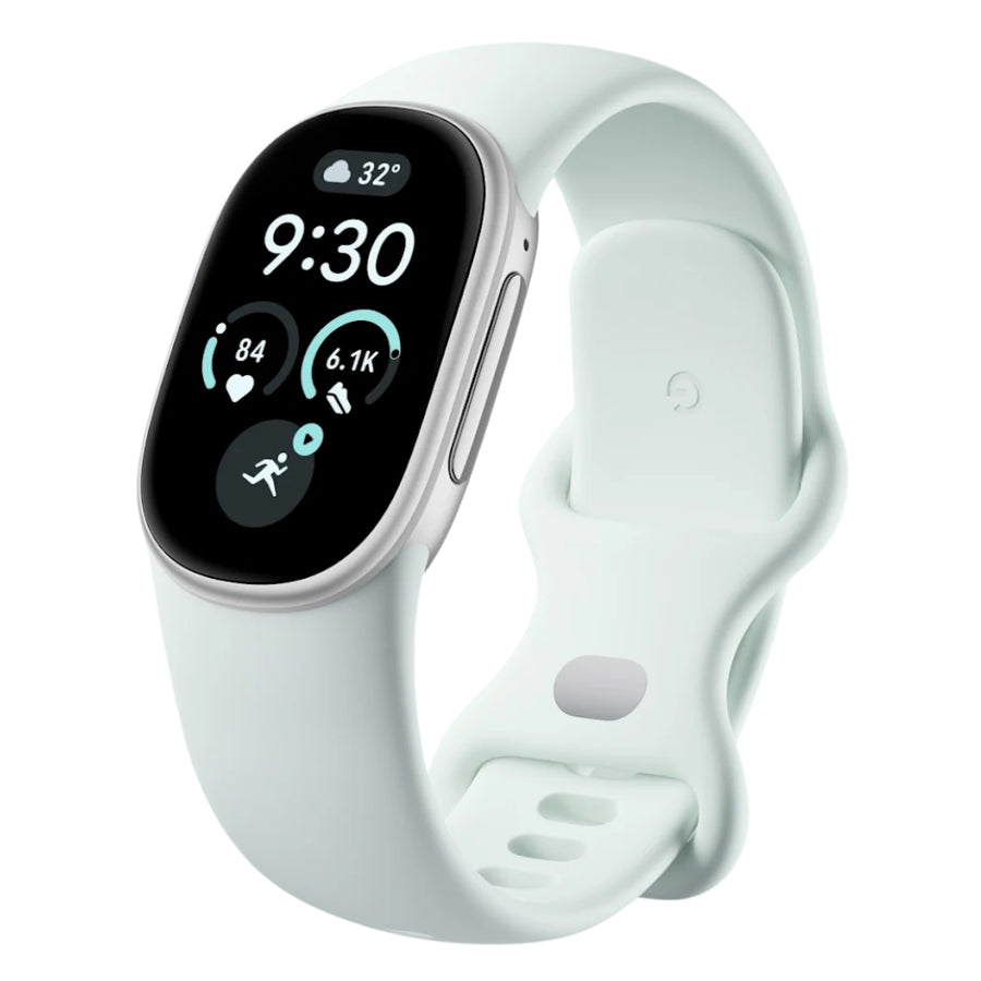 Google Fitbit Edge Classic Satin Silver Aluminum Case / Fog Active Band