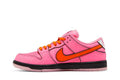 SB Dunk Low x The Powerpuff Girls Blossom