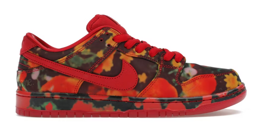 Nike SB Dunk Low x The Wizard of Oz 'Poppy Field'